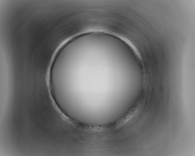 X0000112940815200909141346