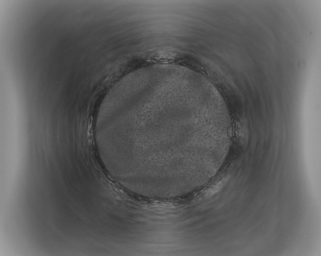 X0000112940818200909141345