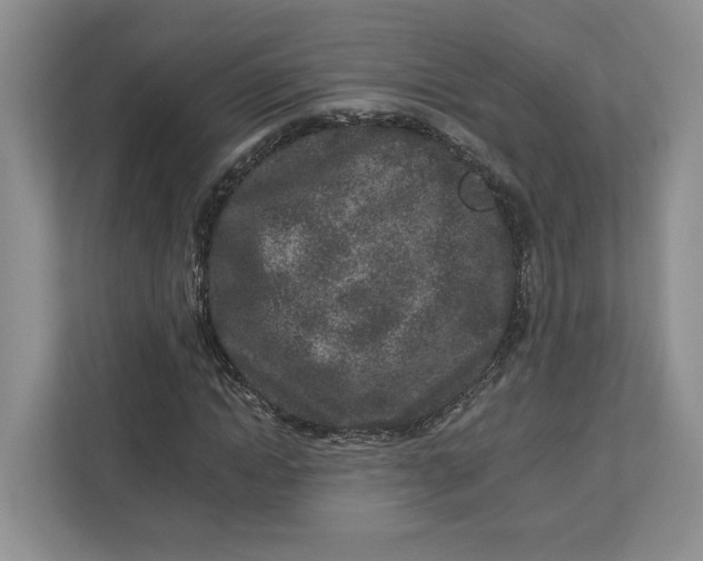 X0000112940822200909141345