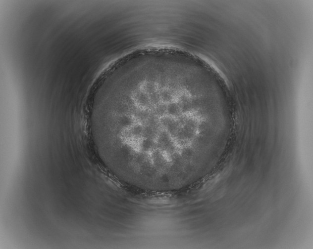 X0000112940823200909141345