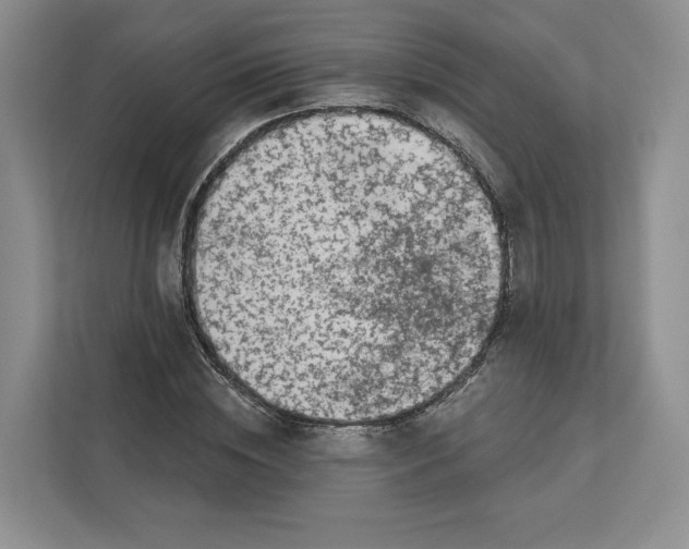 X0000112940828200909141345