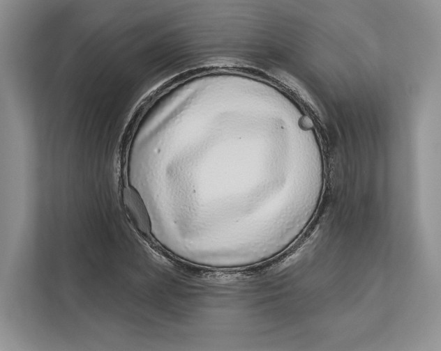 X0000112940831200909141345