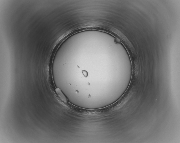 X0000112940834200909141345