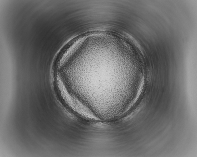 X0000112940835200909141345