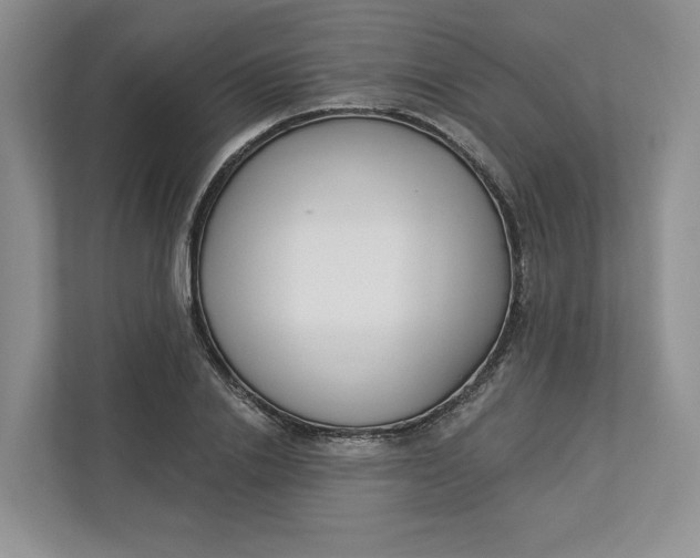 X0000112940838200909141345