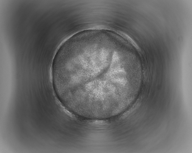 X0000112940839200909141345