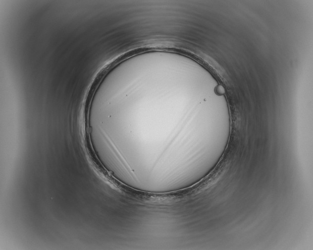 X0000112940840200909141345