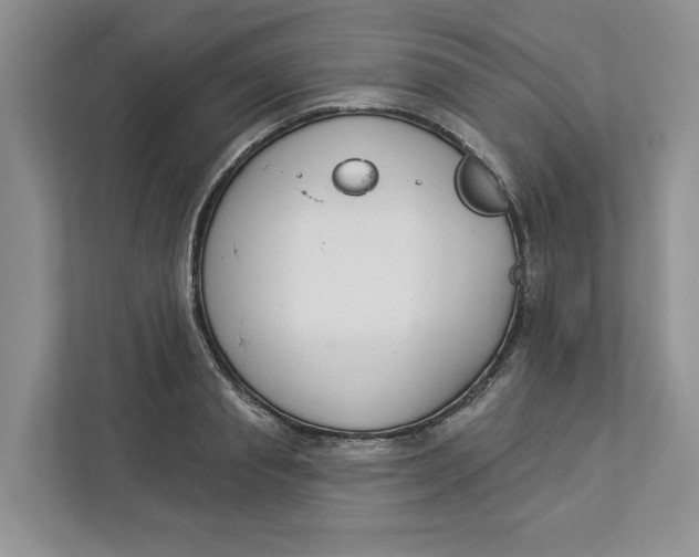 X0000112940845200909141345