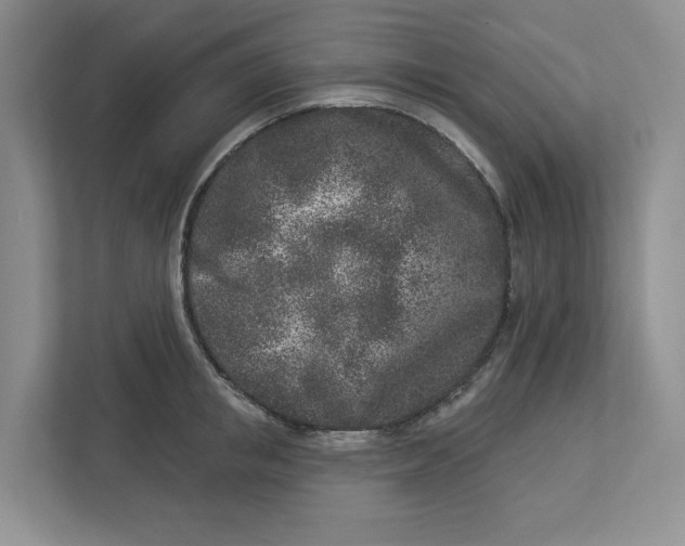 X0000112940853200909141345