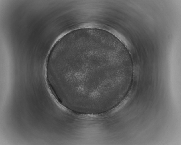 X0000112940854200909141345