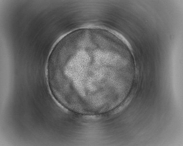 X0000112940855200909141345