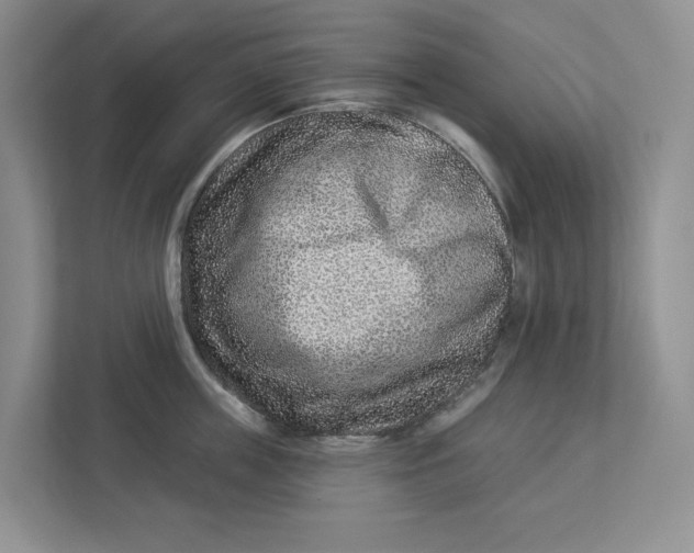 X0000112940859200909141345