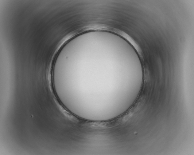 X0000112940861200909141346