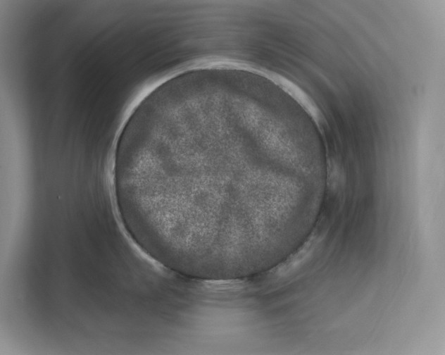 X0000112940863200909141346