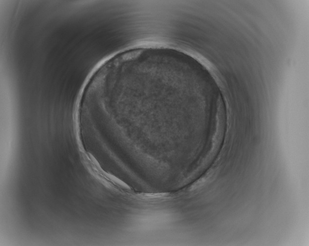 X0000112940864200909141346