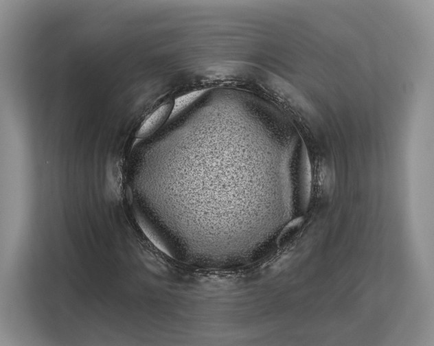 X0000112940868200909141345