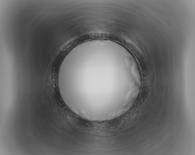 X0000112940870200909141345