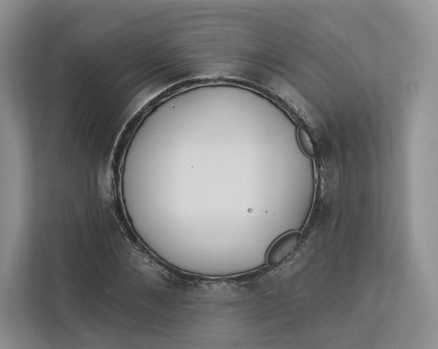 X0000112940876200909141345