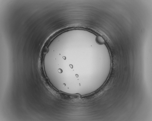 X0000112940880200909141345