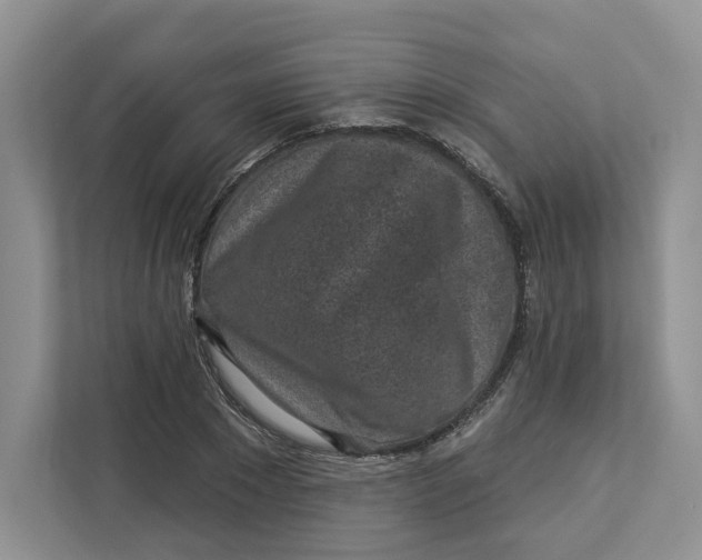 X0000112940881200909141345