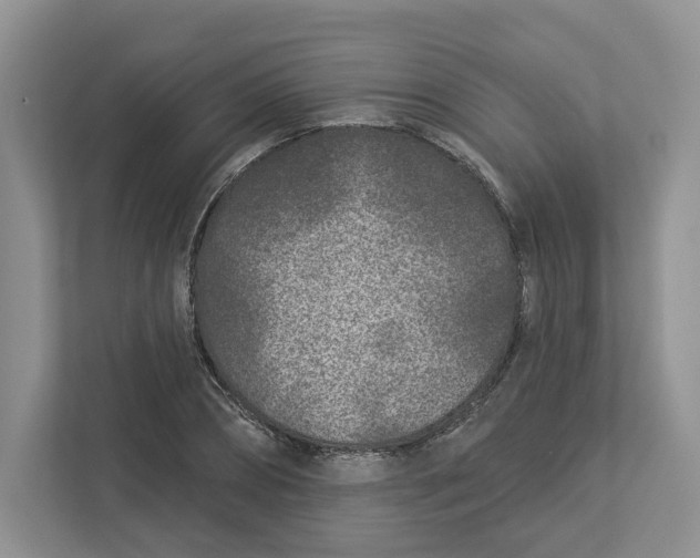 X0000112940882200909141345