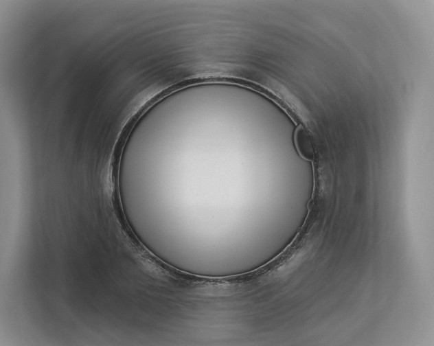 X0000112940885200909141345