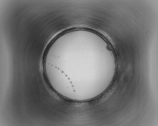 X0000112940887200909141345