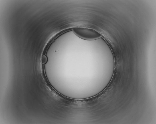 X0000112940888200909141345