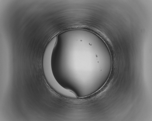 X0000112940889200909141345