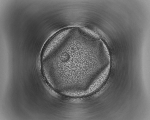 X0000112940892200909141345