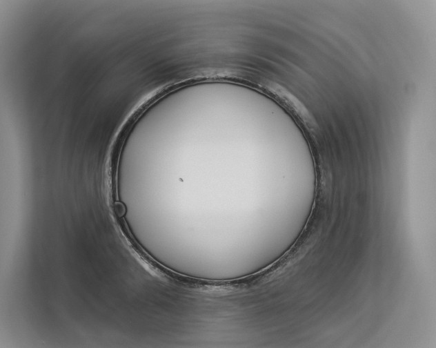 X0000112940894200909141345