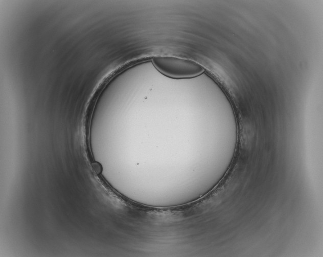 X0000112940896200909141345