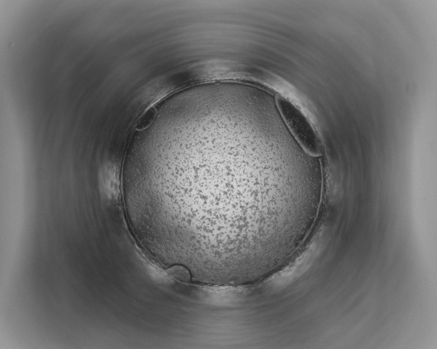 X0000112940897200909141344