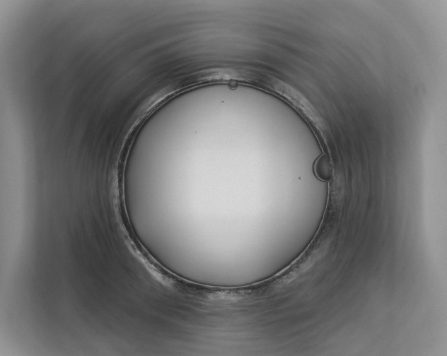 X0000112940898200909141344