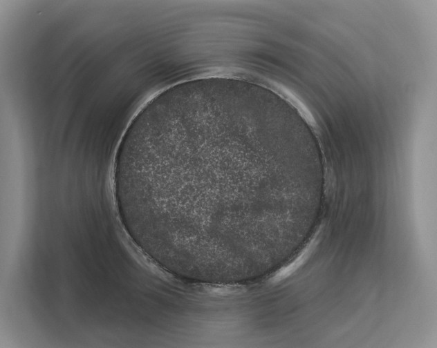 X0000112940899200909141344