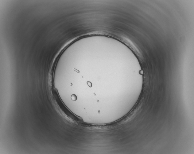 X0000112940900200909141344