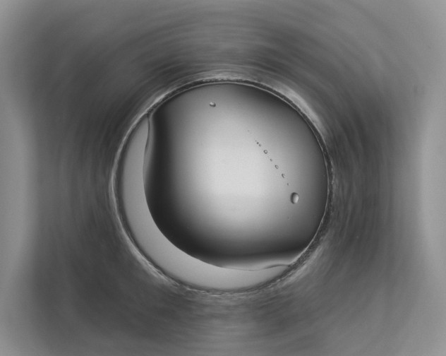 X0000112940901200909141344