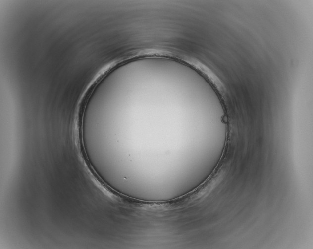 X0000112940902200909141344