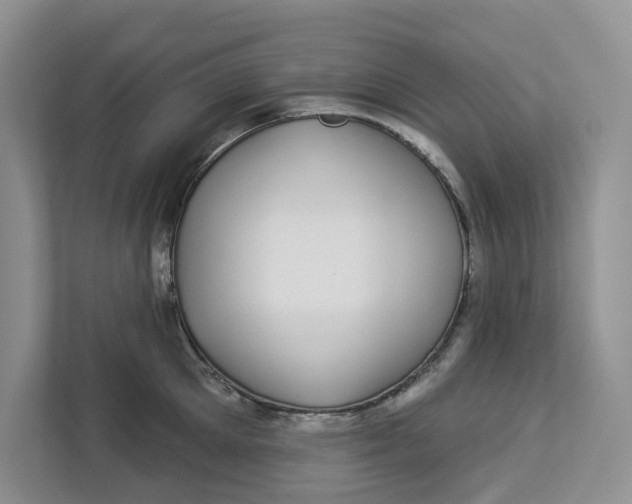 X0000112940905200909141344