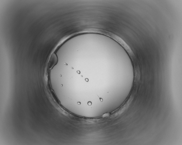 X0000112940908200909141344