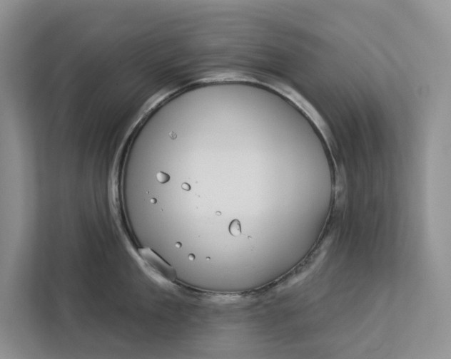 X0000112940909200909141344