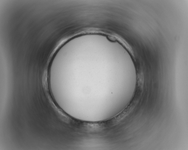 X0000112940911200909141344