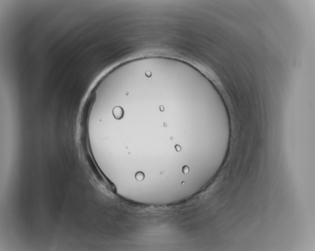 X0000112940912200909141344