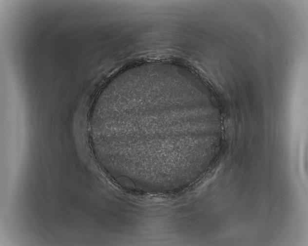 X0000112940913200909141344