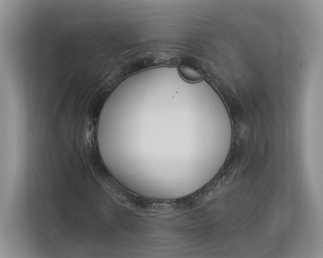 X0000112940914200909141344