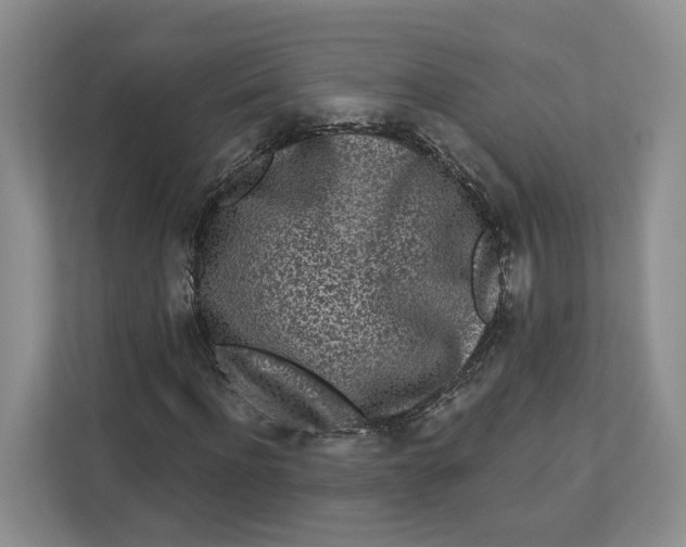 X0000112940916200909141344