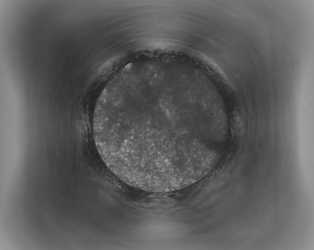 X0000112940918200909141344