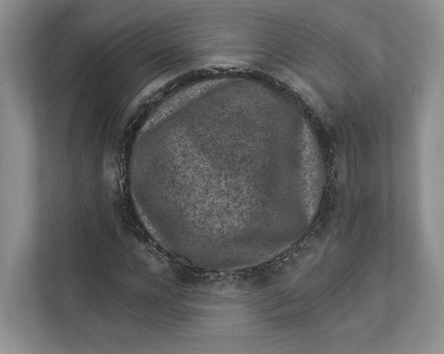 X0000112940920200909141344