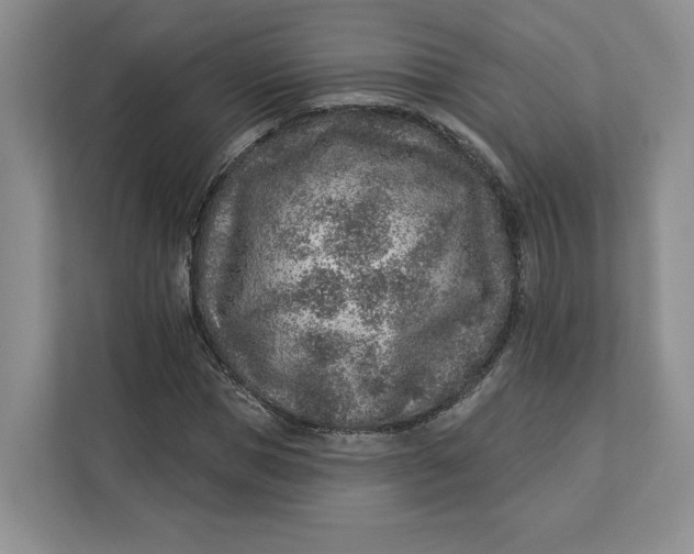 X0000112940921200909141344