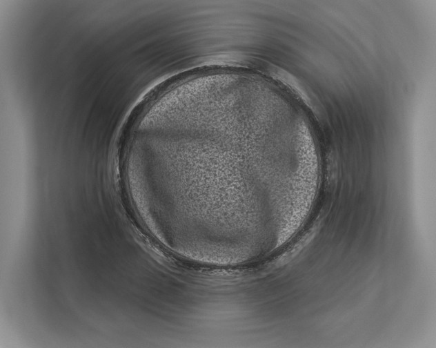 X0000112940923200909141344